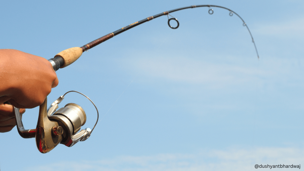 Hold onto the fishing&nbsp;pole!